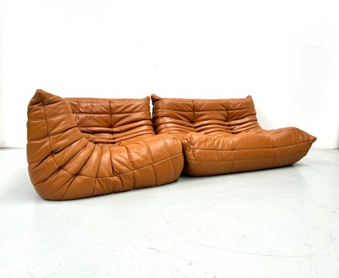 French Togo Living Room Set in Burnt Orange Leather by Michel Ducaroy for Ligne Roset, 1970s, Set of 2-XLZ-2026861