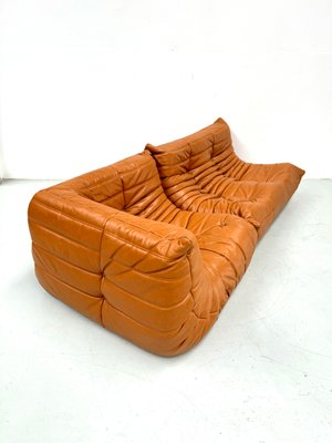 French Togo Living Room Set in Burnt Orange Leather by Michel Ducaroy for Ligne Roset, 1970s, Set of 2-XLZ-2026861