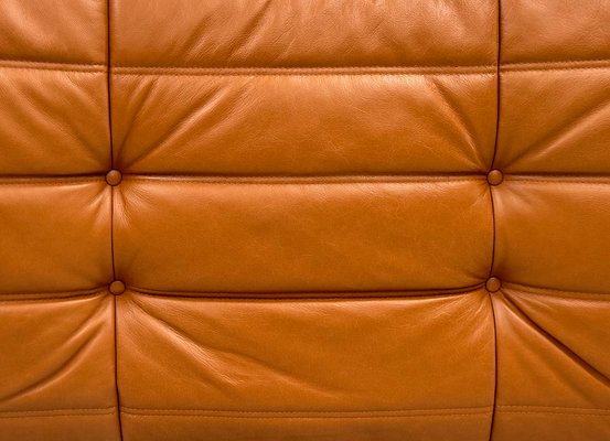 French Togo Living Room Set in Burnt Orange Leather by Michel Ducaroy for Ligne Roset, 1970s, Set of 2-XLZ-2026861