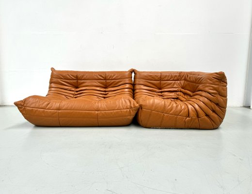 French Togo Living Room Set in Burnt Orange Leather by Michel Ducaroy for Ligne Roset, 1970s, Set of 2-XLZ-2026861