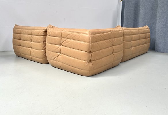 French Togo Living Room Set in Camel Brown Leather by Michel Ducaroy for Ligne Roset., Set of 4-XLZ-2031415