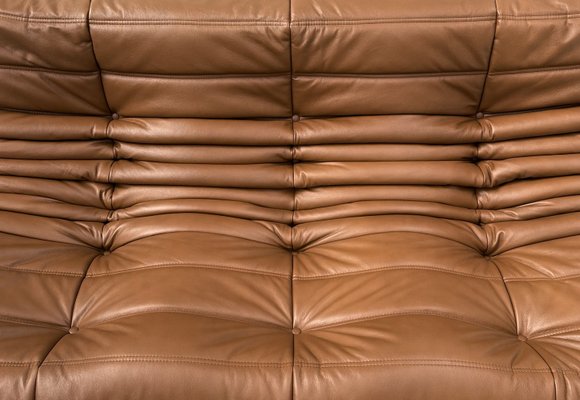 French Togo Sofa in Dark Cognac Leather by Michel Ducaroy for Ligne Roset-XLZ-2028973