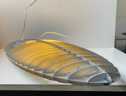 Futurist Elliptical Pendant Lamp by Alberto Meda & Paolo Rizzato for Luceplan, Italy, 2000s-LCR-2021946