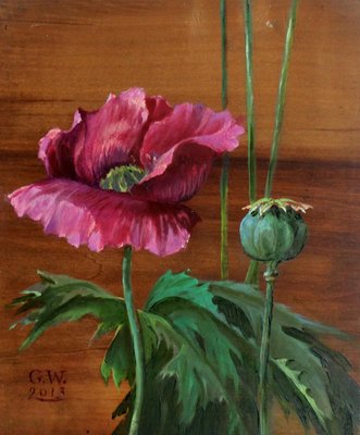 Gabryela Wąsowicz, Pink Poppy, 2013-XHG-927159