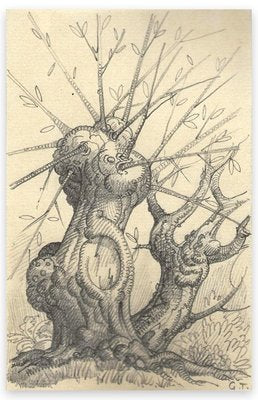 Georges-Henri Tribout, Tree, Pencil Drawing, Early 20th Century-ZCI-871263