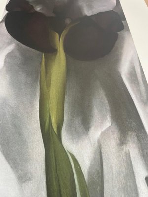 Georgia O'Keeffe, Dark Iris I, 1927, Silk-Screen-WBT-2042830