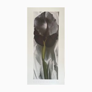 Georgia O'Keeffe, Dark Iris I, 1927, Silk-Screen-WBT-2042830