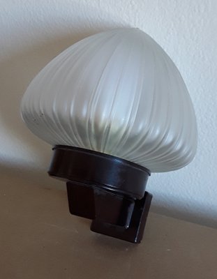 German Art Deco Wall Lamp with Brown Bakelite Mounting & Relief Glass Shade, 1920s-HOI-1415043