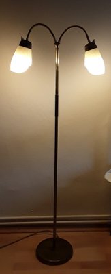 German Flexible 2-Flame Floor Lamp with Brass Frame, 1950s-HOI-1448815