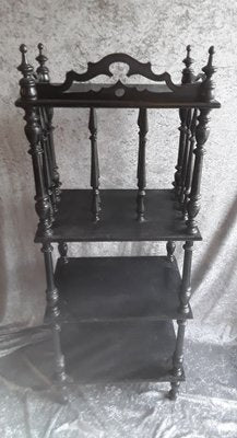 German Newspaper Stand in Black Stained Maple Wood, 1890s-HOI-1821050