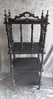 German Newspaper Stand in Black Stained Maple Wood, 1890s-HOI-1821050