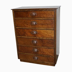 German Oak Apothecary Cabinet, Mid-20th Century-XO-844076