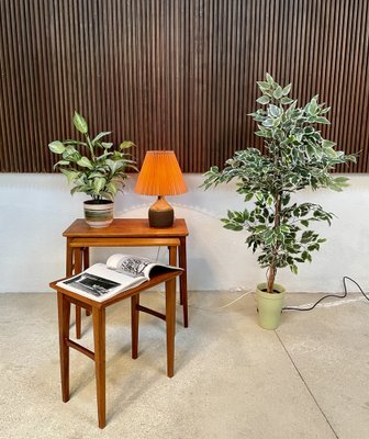 German Teak Nesting Tables, 1950s, Set of 3-JP-1334309