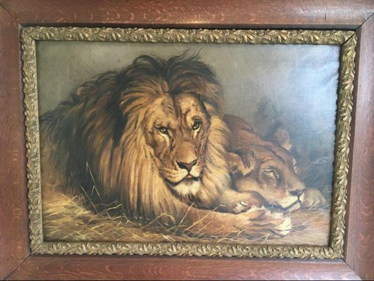 Geza Vastagh, Lion and Lioness, 1900s, Oil on Canvas, Framed-BA-658219