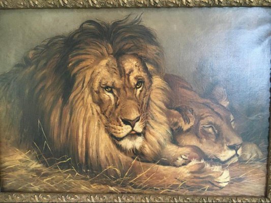 Geza Vastagh, Lion and Lioness, 1900s, Oil on Canvas, Framed-BA-658219