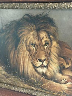 Geza Vastagh, Lion and Lioness, 1900s, Oil on Canvas, Framed-BA-658219