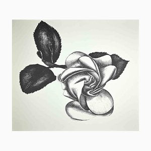 Giacomo Porzano, Black Rose, Original Etching, 1970s-ZCI-1379326