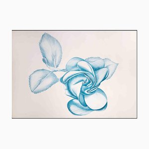 Giacomo Porzano, Blue Rose, Etching, 1972-ZCI-1759286