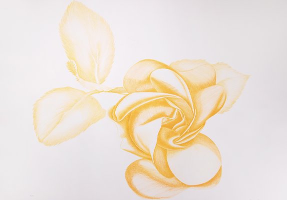 Giacomo Porzano, Yellow Rose, Original Etching, 1972-ZCI-1380114