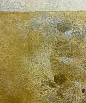 Giacomo Soffiantino, Fossils and Shells, 1960s, Oil on Canvas-QUE-1308622