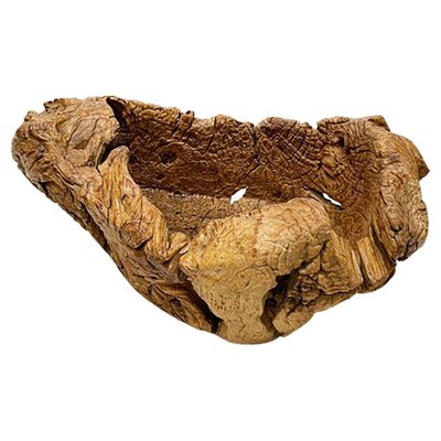 Gigantic Large Burl Wood Organically Shaped and Hand Carved Bowl-UCH-1288578