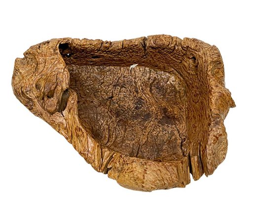 Gigantic Large Burl Wood Organically Shaped and Hand Carved Bowl-UCH-1288578