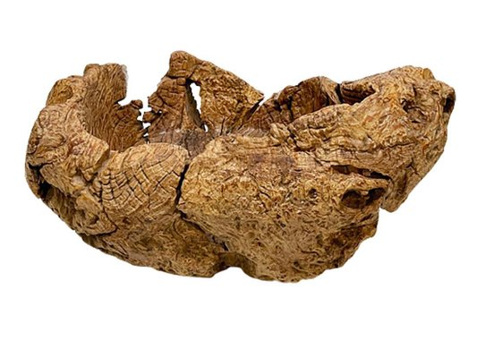 Gigantic Large Burl Wood Organically Shaped and Hand Carved Bowl-UCH-1288578