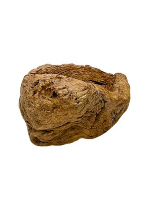 Gigantic Large Burl Wood Organically Shaped and Hand Carved Bowl-UCH-1288578