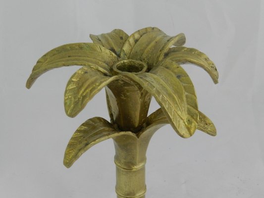 Gilded Bronze Palm Tree Candleholder, 1980s-RIU-589470