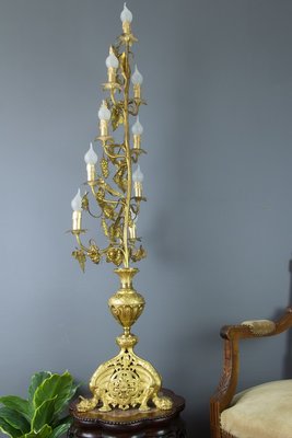 Gilt Brass and Bronze Electrified French Candelabra-KEG-754023