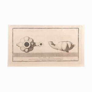 Giovanni Battista Casanova, Oil Lamp, Etching, 18th Century-ZCI-1760630