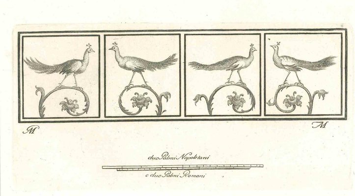 Giovanni Elia Morghen, Birds, Etching, 18th Century-ZCI-1759320