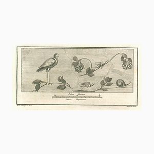 Giuseppe Aloja, Bird Fresco, 18th Century, Etching-ZCI-1781798