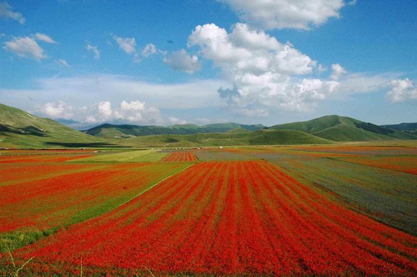 Giuseppe Marani, Red Slopes, Photograph, 2010s-ZCI-1762173