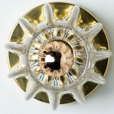 Glass Flower Wall Sconce from Cosack Leuchten, 1970-VDW-2032759