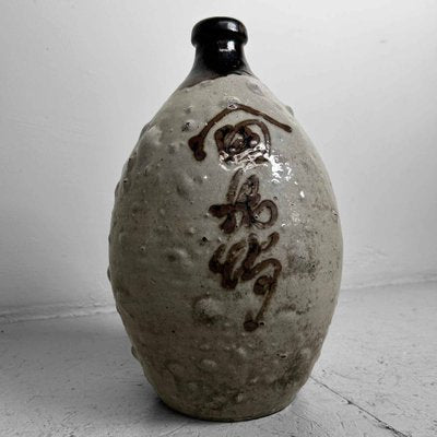 Glazed Ceramic Sake Bottles, Japan, 1890s, Set of 2-DWL-1703870