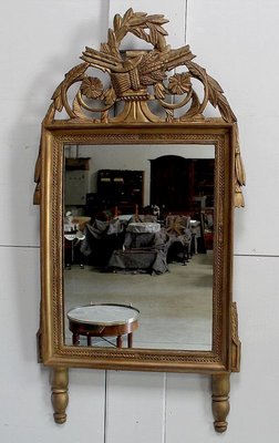 Golden Wood Louis XVI Style Mirror, 19th Century-RVK-912085