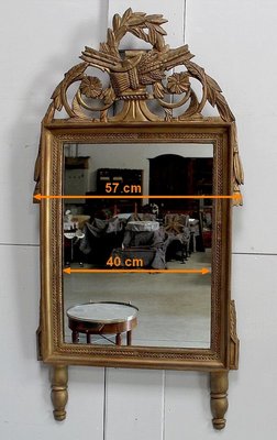 Golden Wood Louis XVI Style Mirror, 19th Century-RVK-912085