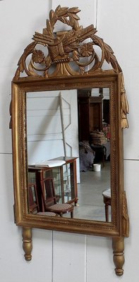 Golden Wood Louis XVI Style Mirror, 19th Century-RVK-912085