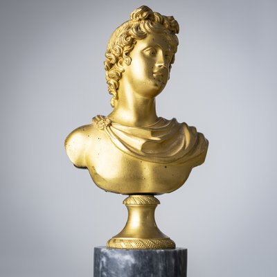 Grand Tour Bust of Apollo Belvedere, 19th Century, Bronze on Marble Base-VEI-2021312