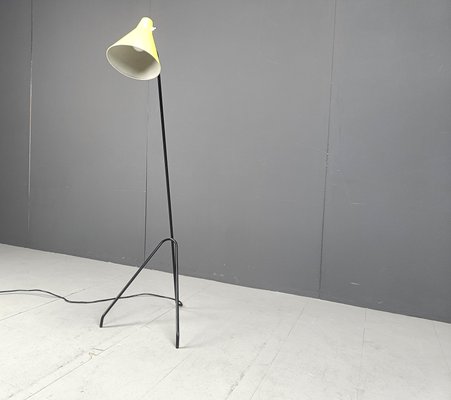 Grasshopper Floor Lamp by Willem Van Doorn, 1960s-IRH-2027051