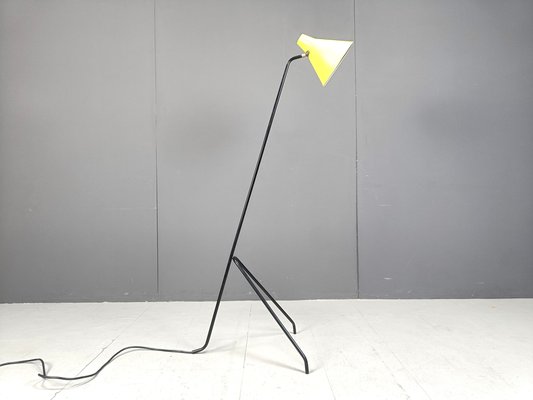 Grasshopper Floor Lamp by Willem Van Doorn, 1960s-IRH-2027051