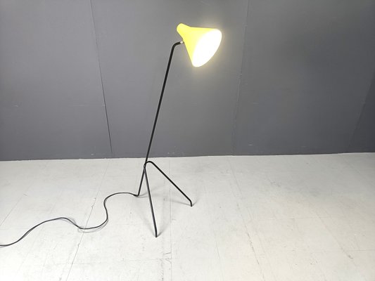 Grasshopper Floor Lamp by Willem Van Doorn, 1960s-IRH-2027051