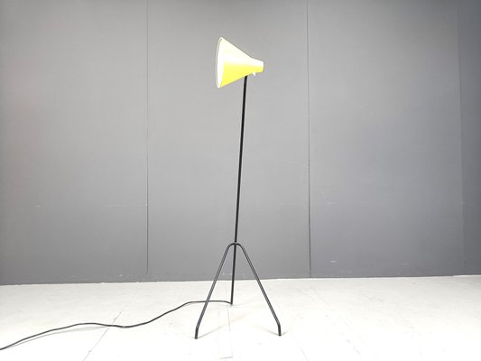 Grasshopper Floor Lamp by Willem Van Doorn, 1960s-IRH-2027051