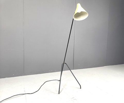 Grasshopper Floor Lamp by Willem Van Doorn, 1960s-IRH-2027051