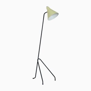 Grasshopper Floor Lamp by Willem Van Doorn, 1960s-ZT-2016795