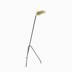 Grasshopper Floor Lamp by Willem Van Doorn, 1960s-IRH-2027051