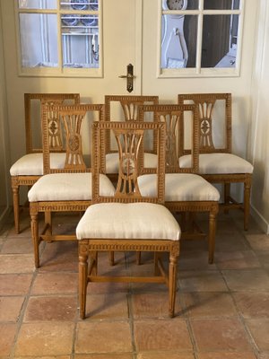 Gustavian Chairs, 1720s, Set of 6-VAP-1132086