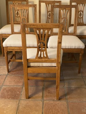 Gustavian Chairs, 1720s, Set of 6-VAP-1132086