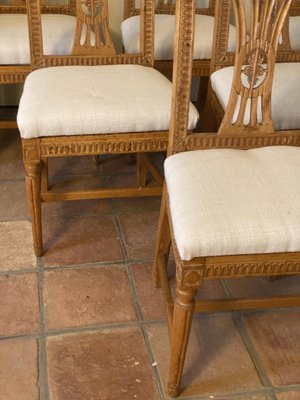 Gustavian Chairs, 1720s, Set of 6-VAP-1132086